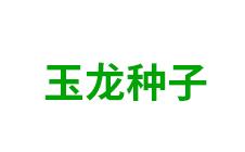 翁牛特旗玉龙种子-kaiyunI全站网页版登录·(中国)官方网站